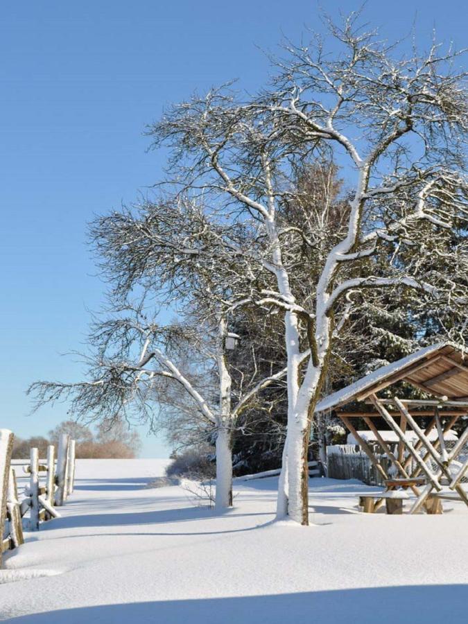 Appartamento Feriengut Dietzsch Poritzsch Esterno foto